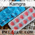 Kamgra new14
